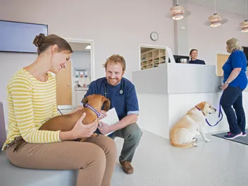Can Another Person Bring My Pet to the Vet for Me? Vet Approved Facts & FAQ