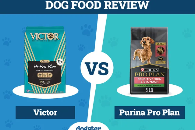 Victor Dog Food vs Purina Pro Plan: 2026 Comparison, Pros & Cons
