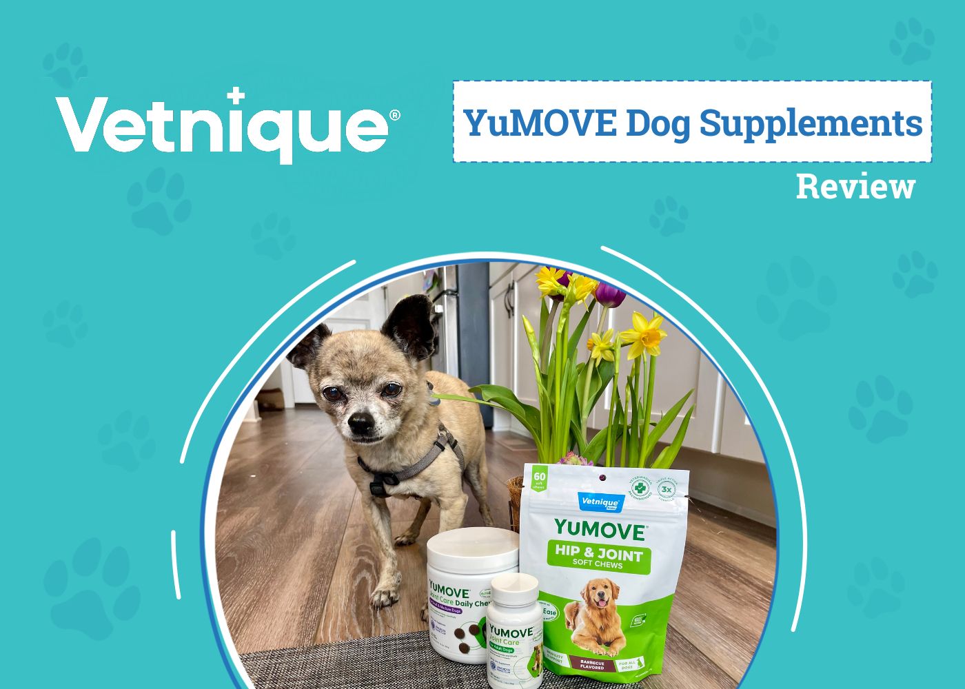 DOG_SAPR_Vetnique YuMOVE Dog Supplements (1)