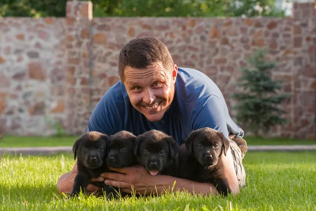 How to Find an Ethical Dog Breeder: Vet-Approved Verification Guide