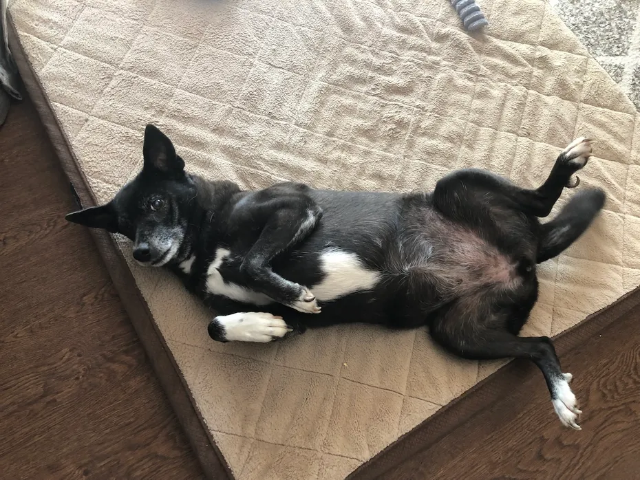 Lorraina lying on her back