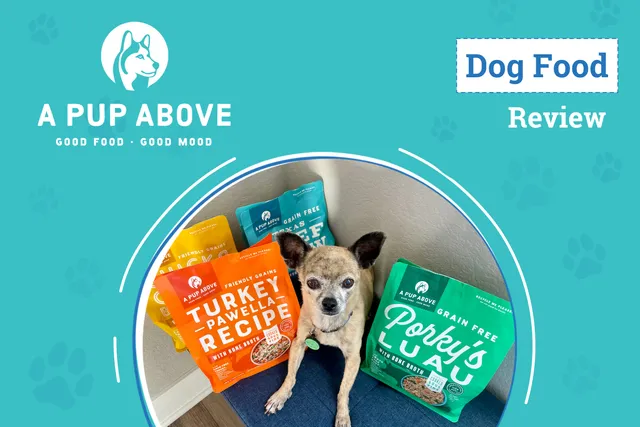 A Pup Above Dog Food Review 2026: Why This Food Has Won Over My Pups