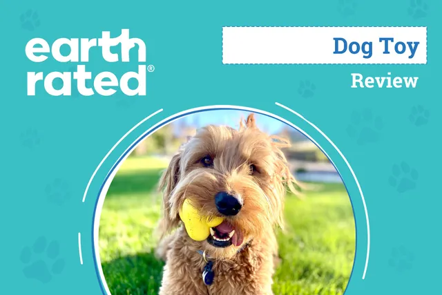 Earth Rated Fetch Toy Review 2026: An Expert’s Breakdown