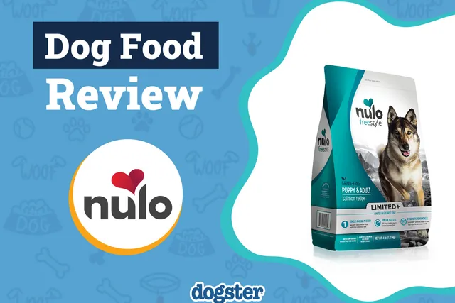 Nulo Dog Food Review: Recalls, Pros & Cons
