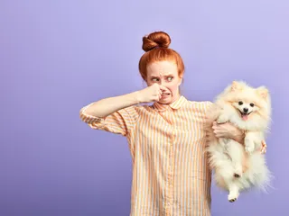 How to Get Rid of Skunk Smell on Dogs: 8 Vet-Approved Steps