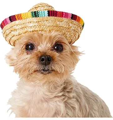 Rubie's Costume Company Multi-Colored Dog &amp; Cat Sombrero