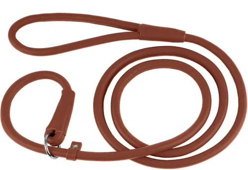 CollarDirect Rolled Leather Dog Slip Lead