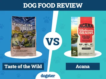 Taste of the Wild vs. Acana Dog Food: Our 2026 In-Depth Comparison