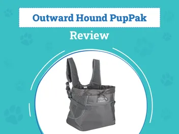 Outward Hound PupPak Review 2026: Pros, Cons & Verdict