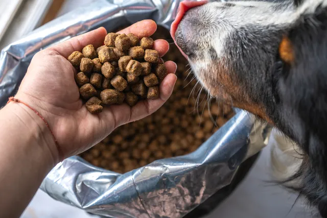 How to Calculate Pet Food Dry Matter Basis (With Calculator)