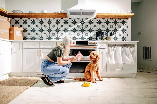How Much Does Nom Nom Dog Food Cost? 2026 Update