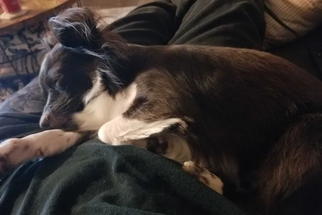 Two Peas in a Pod: Ways Penny and I Are Exactly Alike