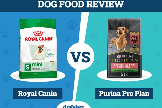 Royal Canin vs. Purina Pro Plan Dog Food: 2026 Comparison, Pros & Cons