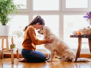 National Dog Week 2026: How to Celebrate it & Interesting Facts