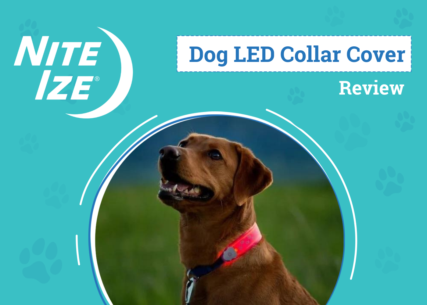 DOG_SAPR_Nite Ize Dog Led Collar Cover