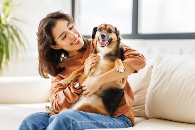 How to Introduce a Dog to a New Home: 8 Vet Approved Tips