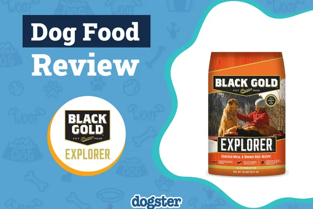Black Gold Explorer Dog Food Review 2026: Recalls, Pros & Cons