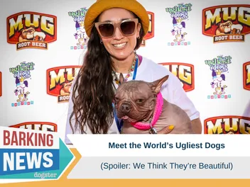 Meet The World’s Ugliest Dogs!