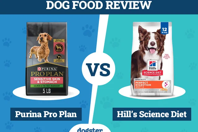 Purina Pro Plan vs Hill’s Science Diet Dog Food: 2026 Comparison, Pros & Cons