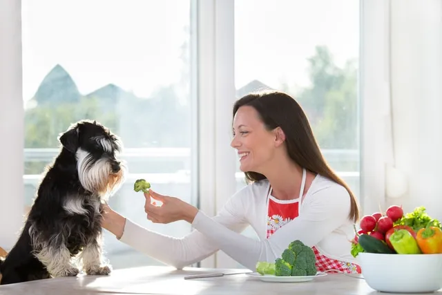 10 Foods With Vitamin C for Dogs: Vet Reviewed Nutrition Facts & Info