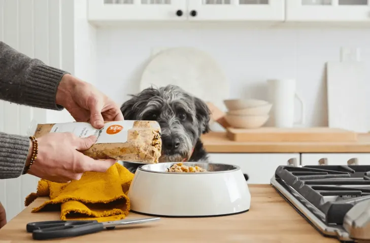 The Farmer's Dog Fresh Dog Food