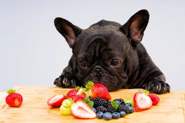 Fetch a Different Fruit: When Fresh Produce Is Dangerous For Dogs