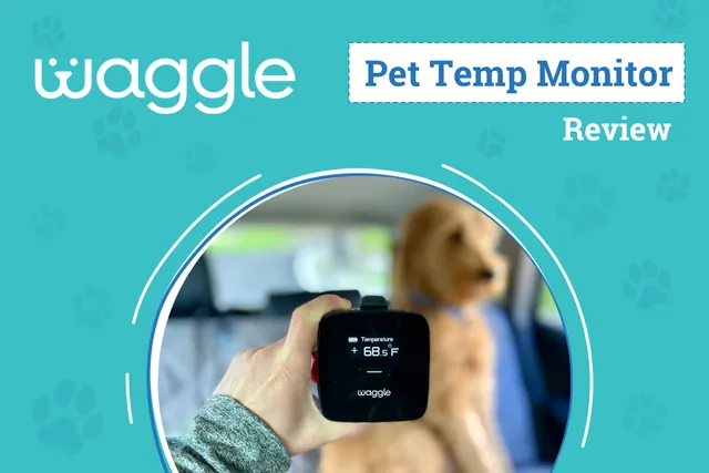 Waggle Pet Monitor Pro+ Review 2026: An Expert's Breakdown