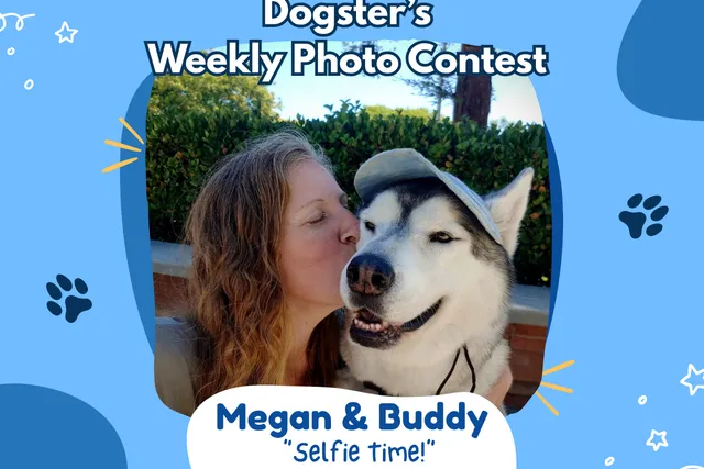 Dogster’s Weekly Photo Contest Winners: Selfie Time! (September 14, 2026)