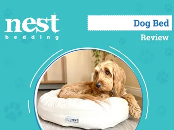 Nest Bedding Bolstered Pet Bed Review 2026: An Expert’s Breakdown