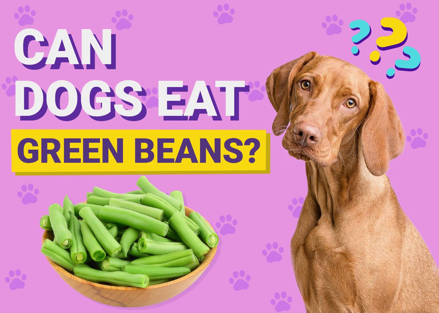 Can Dogs Eat Green Beans