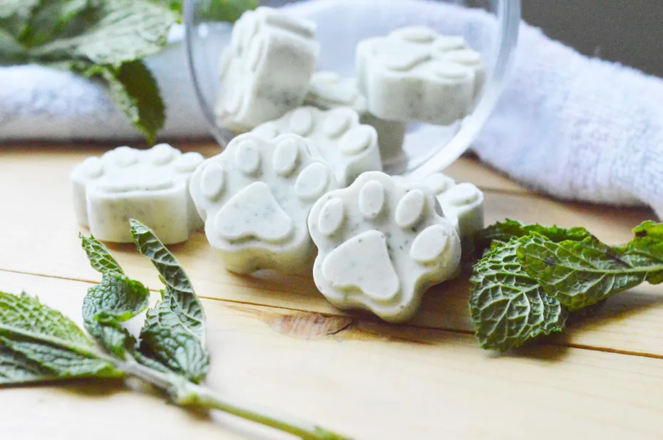 Frozen Mint and Honey Treats