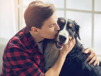 National Little Pampered Dog Day 2026: What It Is & How to Celebrate