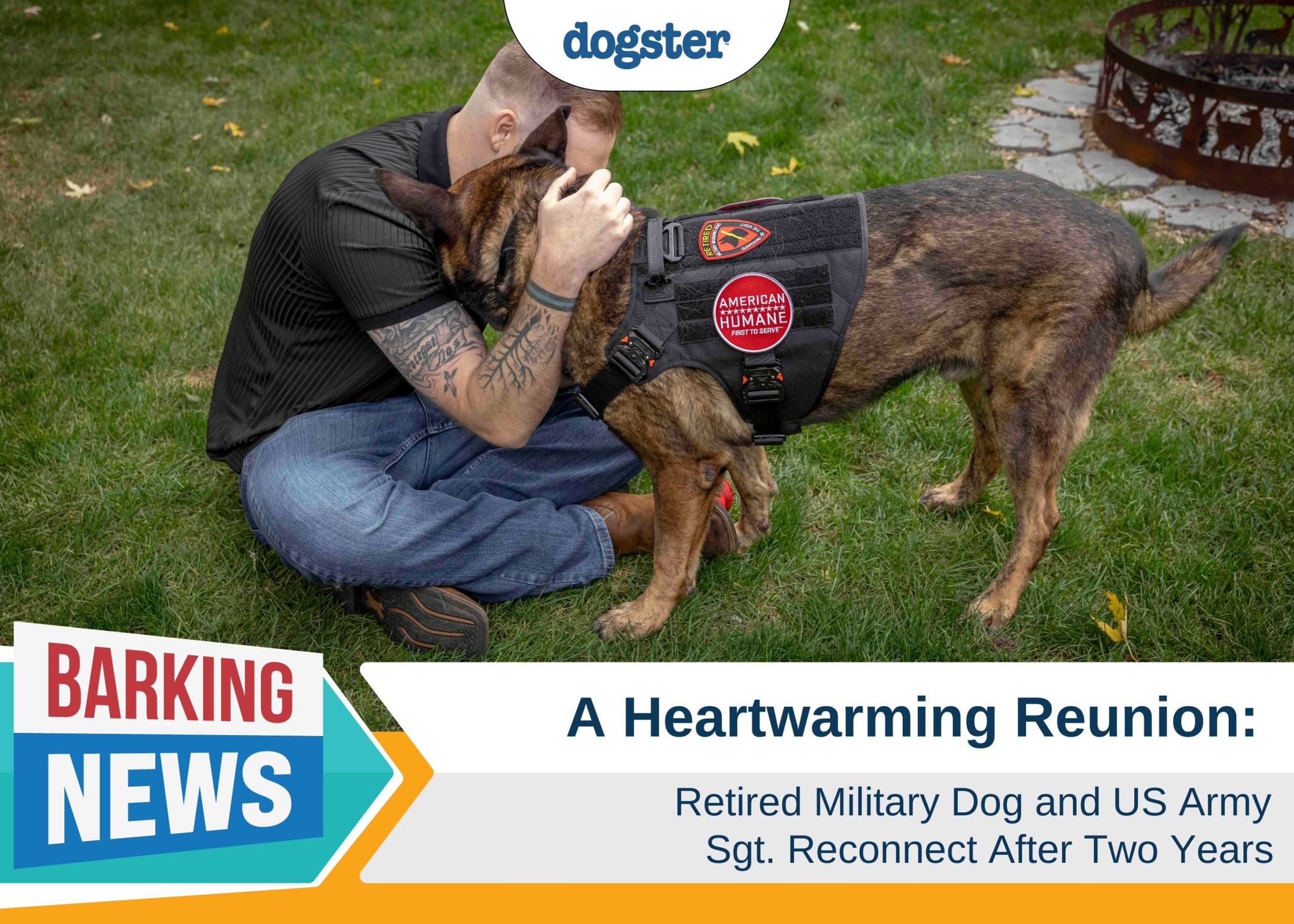 Retired-Military-Dog-and-US-Army-Sgt-Reunited