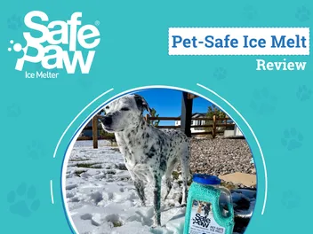 Safe Paw Ice Melter Review 2026: A Pet-Friendly Way to De-Ice