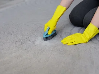 How to Get Dog Pee Out of Your Carpet: 4 Tips & Tricks