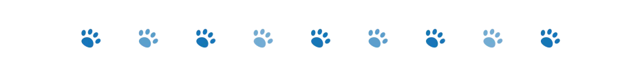 divider dog paws 2 oct 2024