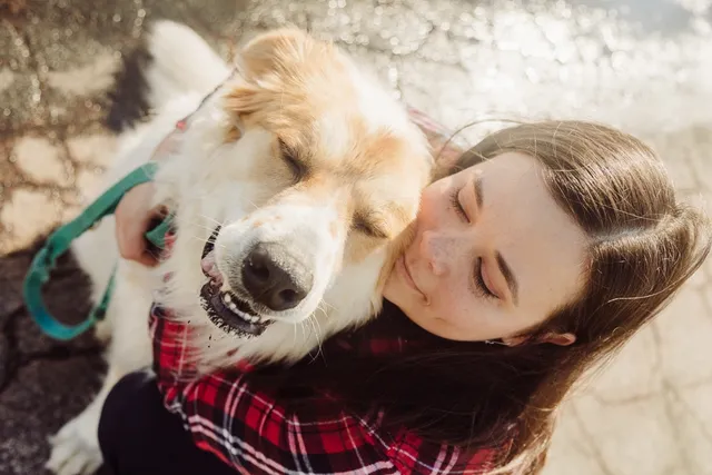 Are Great Pyrenees Good With Kids & Families? Breed Temperament & FAQ