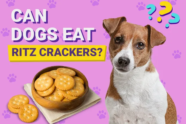 Can Dogs Eat Ritz Crackers? Vet-Reviewed Facts & Safety Guide