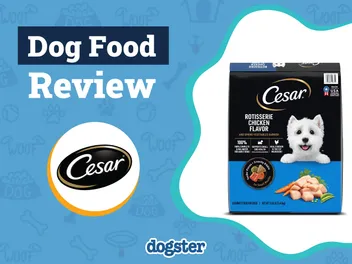 Cesar Dog Food Review 2026: Pros, Cons, Recalls and Guide