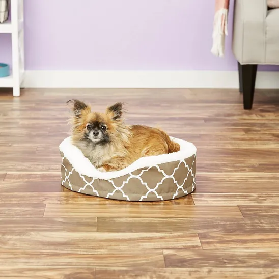 dog in MidWest QuietTime Defender Orthopedic Bolster Cat & Dog Bed