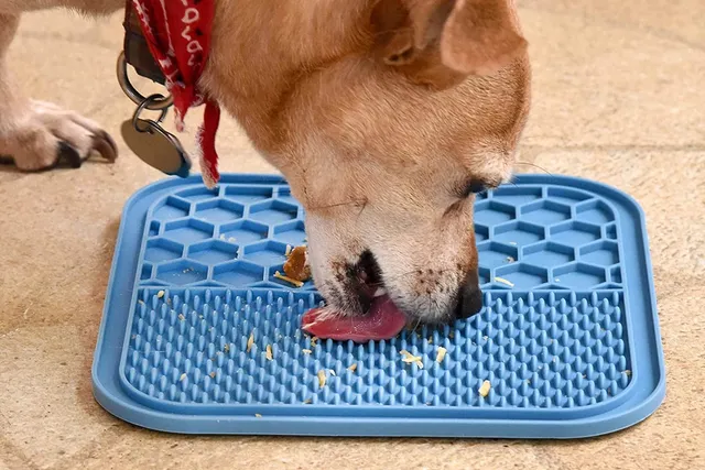 6 Benefits of Lick Mats for Dogs: Canine Health and Wellness