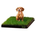 DoggieLawn Dog Grass Pad
