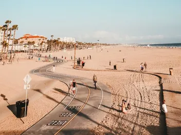 Are Dogs Allowed on Santa Monica Beach? 2026 Guide & Tips