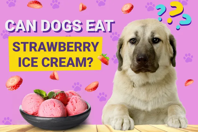 Can Dogs Eat Strawberry Ice Cream? Vet-Verified Facts & Safety Guide