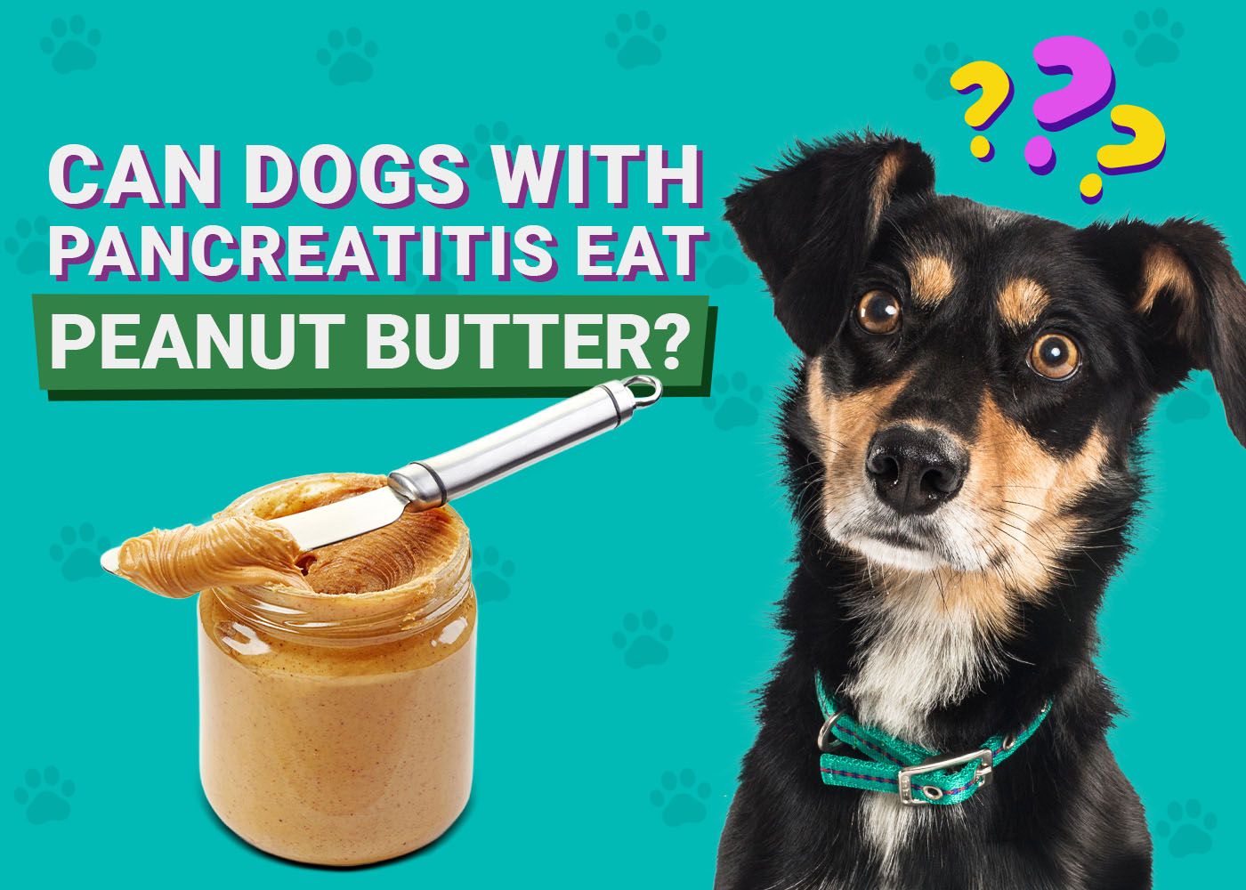 Can Dogs With Pancreatitis Eat Peanut Butter