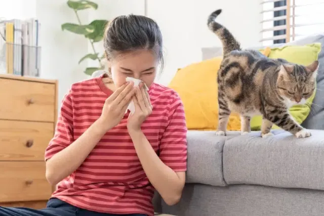 Can You Be Allergic to Cats But Not Dogs? (Vet Answer)