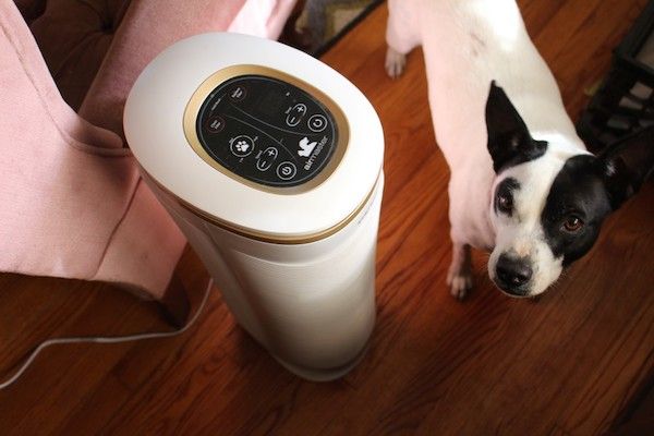 Homedics Air Purifier Review for Dog Odor in 2026: Pros, Cons, Verdict