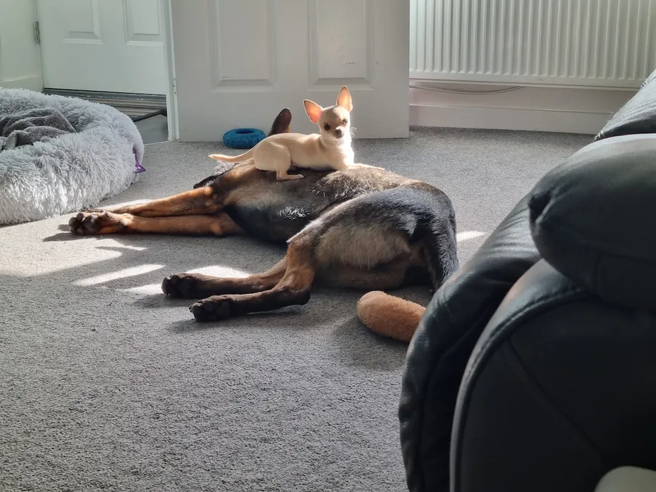 Ned makes sure Kodah knows his place.