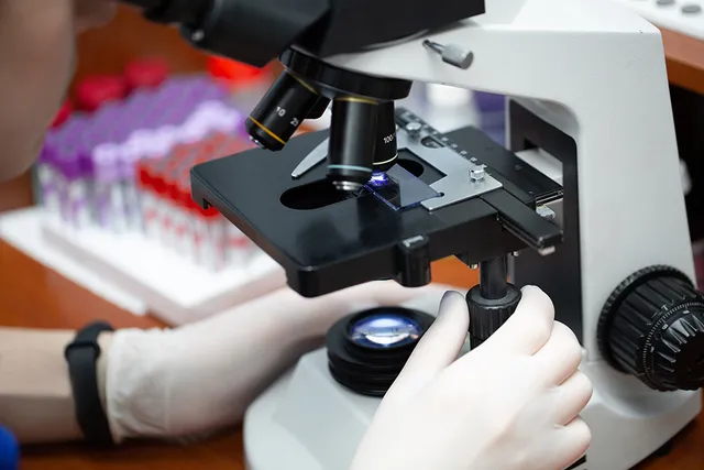 CBC Blood Test for Dogs: Our Vet Explains Why It’s Done & the Process