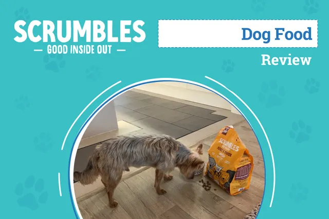 Scrumbles Dog Food Review 2026: An Expert's Breakdown